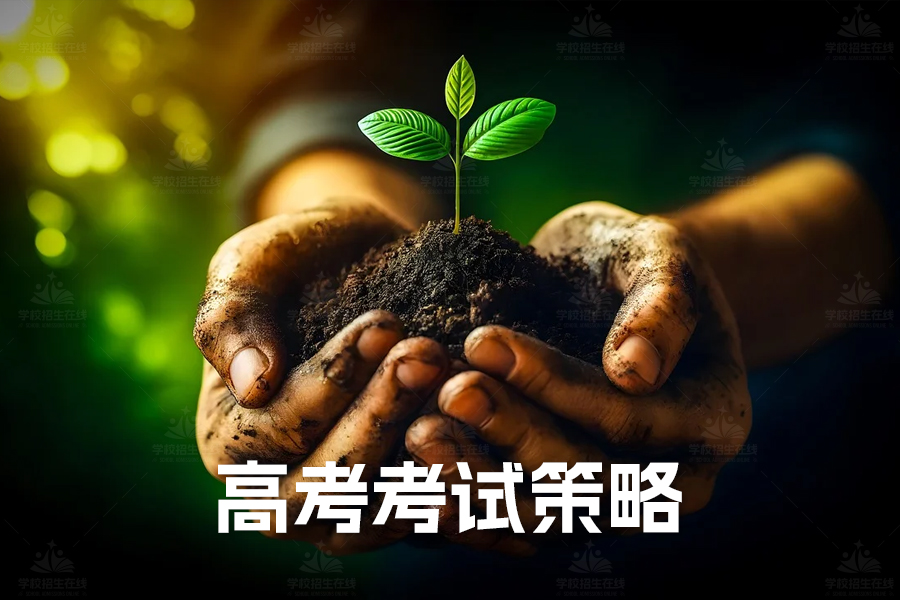 高考考试策略指南：提高得分的关键技巧