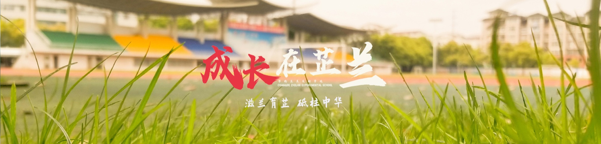 常德芷兰实验学校